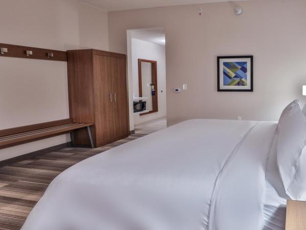 Holiday Inn Express & Suites - Nashville MetroCenter Downtown, an IHG Hotel : photo 3 de la chambre chambre lit king-size standard