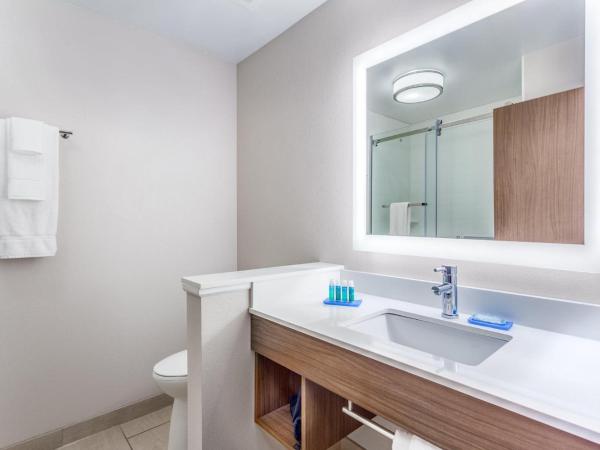 Holiday Inn Express & Suites - Nashville MetroCenter Downtown, an IHG Hotel : photo 4 de la chambre chambre lit king-size standard