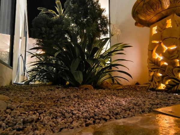 Beds In Garden Hostel : photo 5 de la chambre petite chambre double