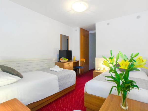 Hotel Jadran Šibenik : photo 1 de la chambre chambre lits jumeaux - vue sur ville