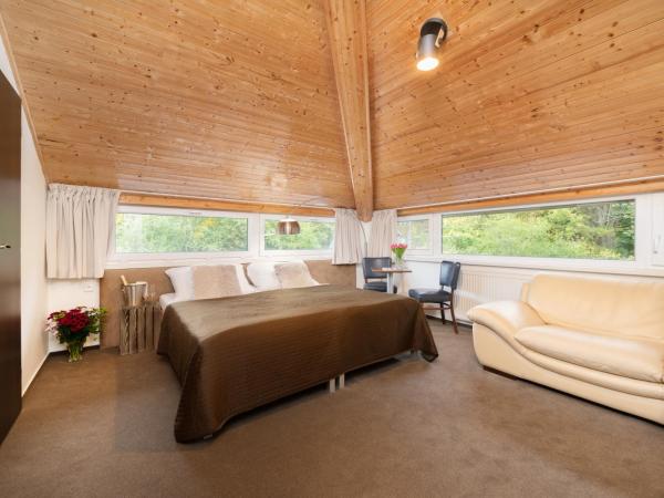 Hotel U Šuláka : photo 9 de la chambre chambre quadruple classique