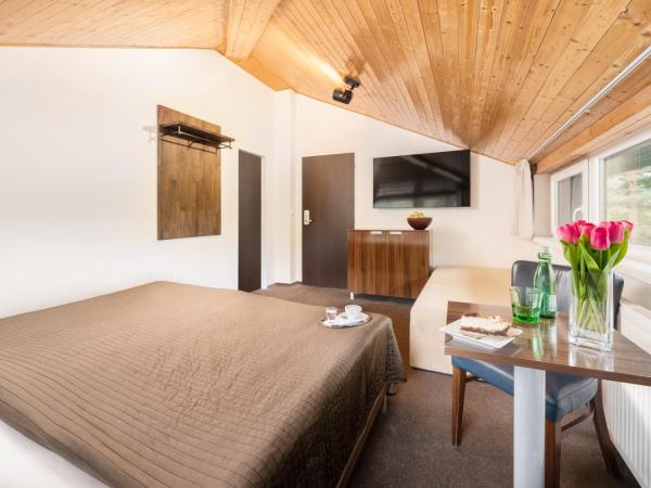 Hotel U Šuláka : photo 10 de la chambre chambre quadruple classique