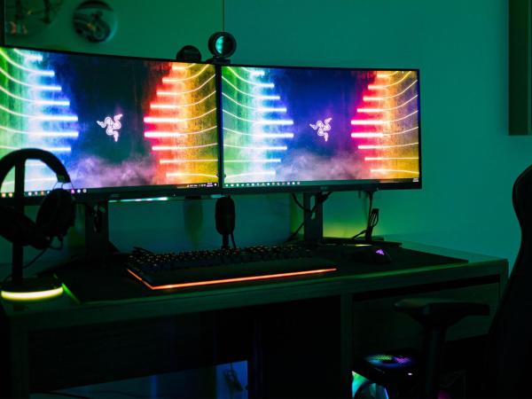 Rove At The Park : photo 2 de la chambre hébergement gamer cave