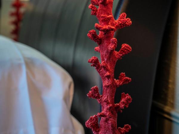 Hotel Broad Ripple : photo 6 de la chambre chambre lit queen-size avec balcon