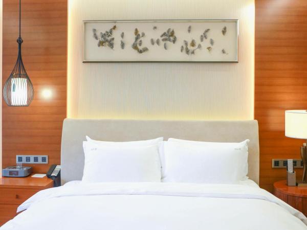 Holiday Inn Nanjing Xuanwu Lake, an IHG Hotel : photo 4 de la chambre chambre standard lit king-size avec balcon - vue sur ville