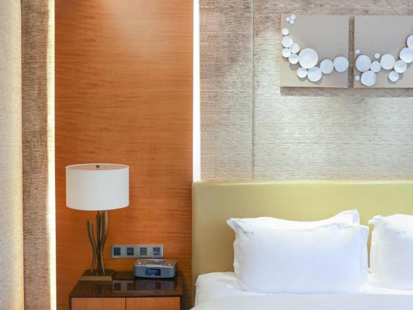 Holiday Inn Nanjing Xuanwu Lake, an IHG Hotel : photo 1 de la chambre suite 1 chambre - vue sur ville