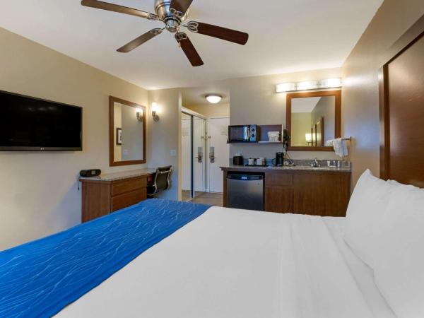 Comfort Inn Gaslamp Convention Center : photo 2 de la chambre chambre standard avec 1 lit king-size - non-fumeurs