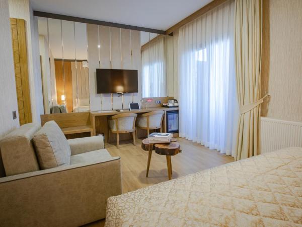 bahçelievler hotels : photo 6 de la chambre chambre deluxe