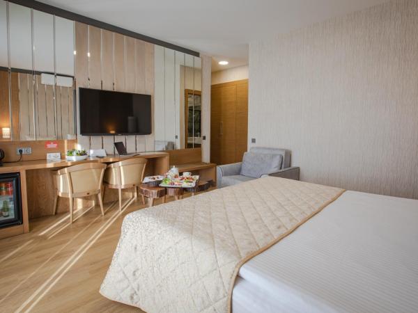 bahçelievler hotels : photo 5 de la chambre chambre lit queen-size deluxe