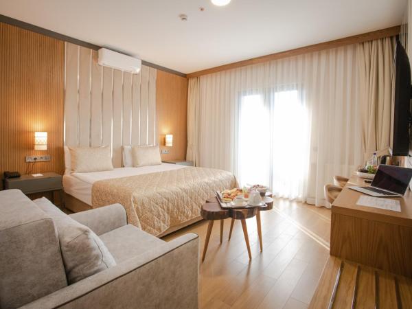 bahçelievler hotels : photo 4 de la chambre chambre lit queen-size deluxe