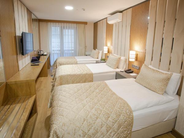 bahçelievler hotels : photo 5 de la chambre chambre triple standard