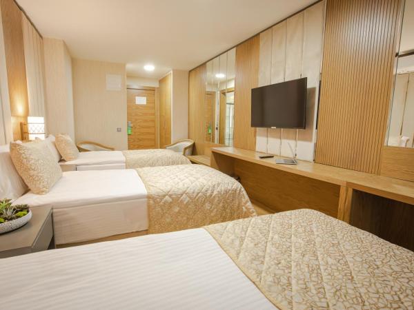 bahçelievler hotels : photo 6 de la chambre chambre triple standard