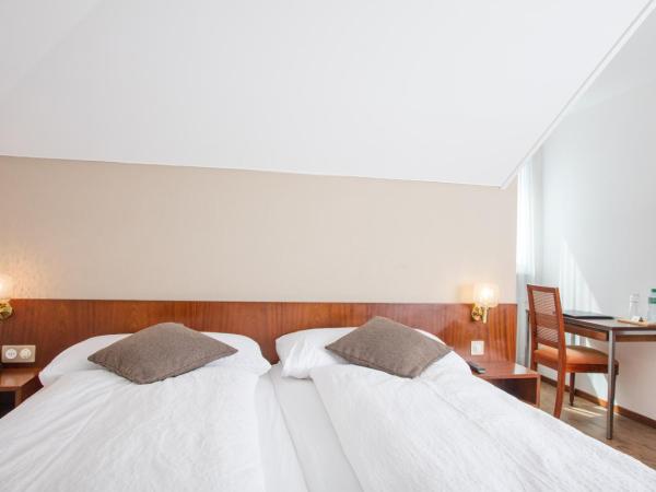 Hôtel de Chailly : photo 5 de la chambre chambre lits jumeaux Économique