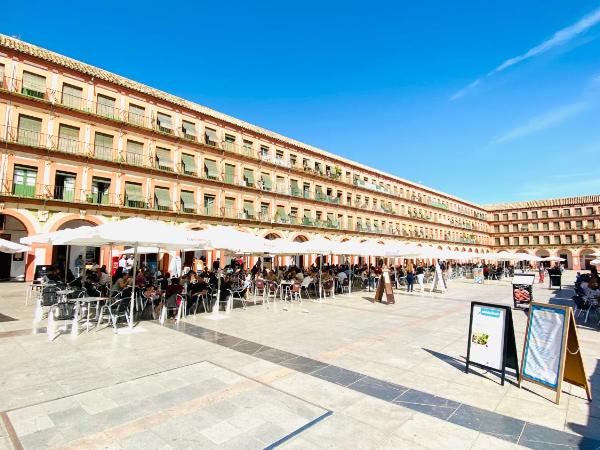Hostel Plaza Mayor Corredera : photo 8 de la chambre chambre quadruple classique