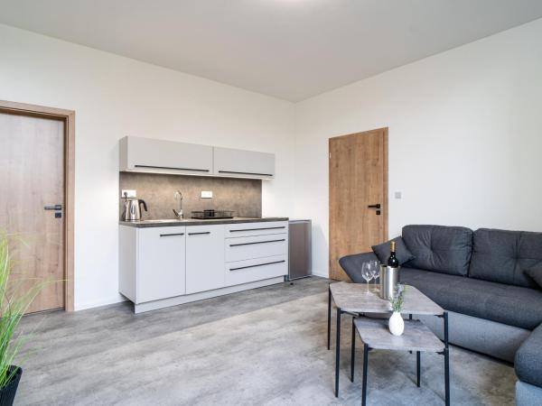 Apartmány Venuše : photo 1 de la chambre suite 1 chambre