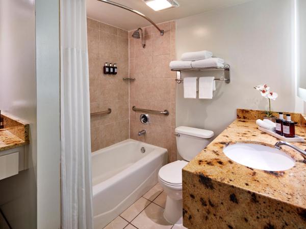 Carlyle Inn : photo 5 de la chambre chambre avec 2 lits queen-size - non-fumeurs