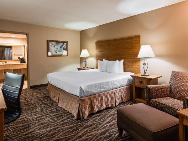Best Western Plus Saddleback Inn and Conference Center : photo 2 de la chambre chambre lit king-size - non-fumeurs