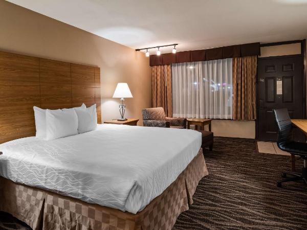 Best Western Plus Saddleback Inn and Conference Center : photo 1 de la chambre chambre lit king-size - non-fumeurs