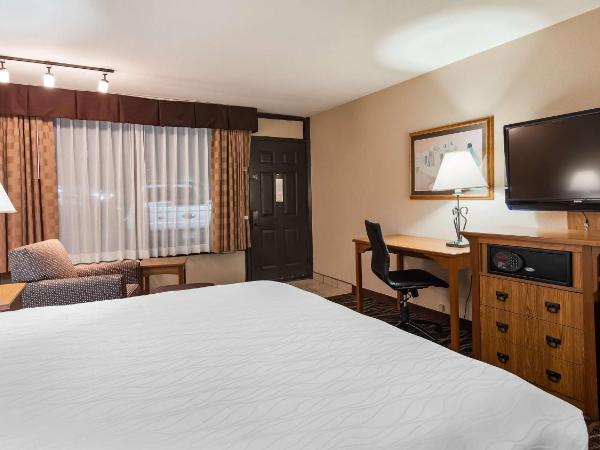 Best Western Plus Saddleback Inn and Conference Center : photo 3 de la chambre chambre lit king-size - non-fumeurs