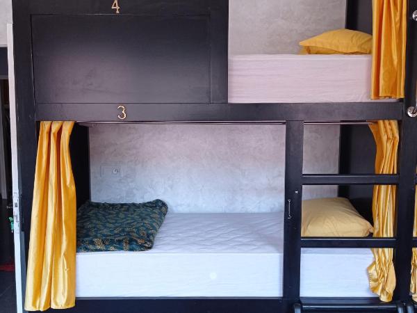 Stork Marrakech Luxury Hostel : photo 3 de la chambre lit dans dortoir mixte de 6 lits