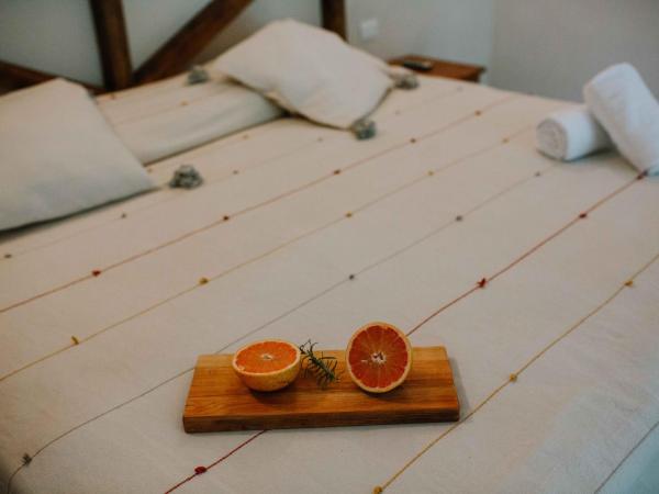 Xiknal Cozumel : photo 3 de la chambre chambre double standard