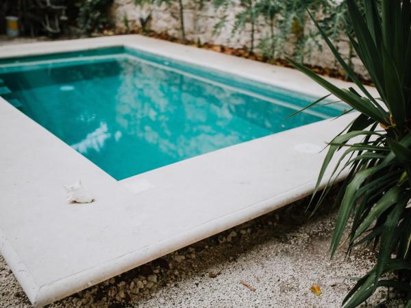 Xiknal Cozumel : photo 6 de la chambre chambre double standard