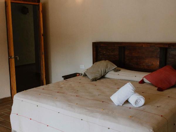 Xiknal Cozumel : photo 3 de la chambre chambre double standard