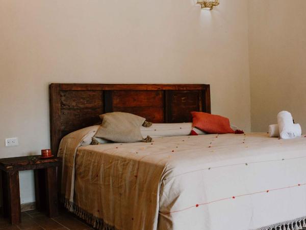 Xiknal Cozumel : photo 4 de la chambre chambre double standard