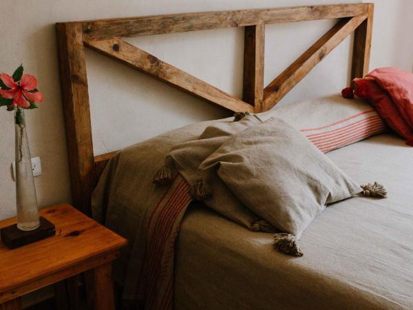 Xiknal Cozumel : photo 2 de la chambre chambre lits jumeaux standard