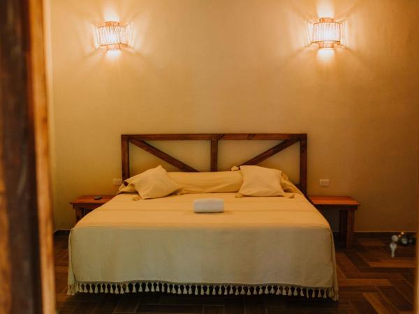 Xiknal Cozumel : photo 2 de la chambre chambre double standard