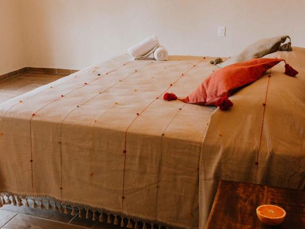 Xiknal Cozumel : photo 2 de la chambre chambre double standard