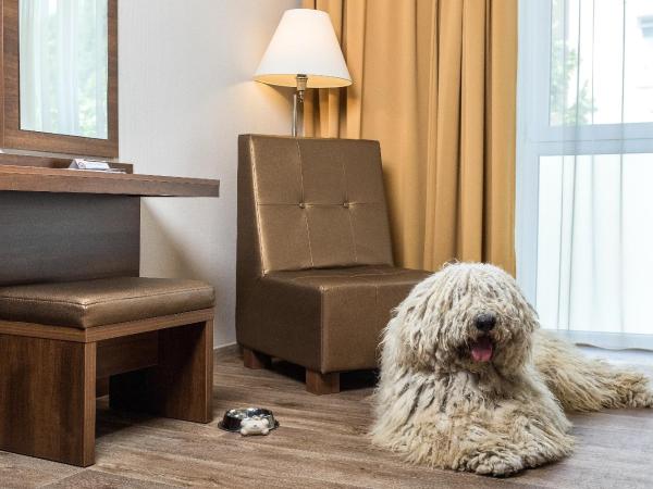 Bonvital Hotel Hévíz Superior Adults Only : photo 3 de la chambre chambre double ou lits jumeaux standard