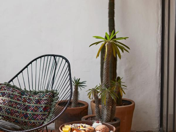 La Valise Mexico City, member of Small Luxury Hotels : photo 6 de la chambre suite la terraza