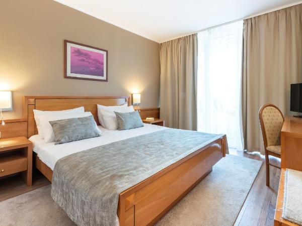 Hotel Splendid : photo 1 de la chambre chambre double standard avec balcon 