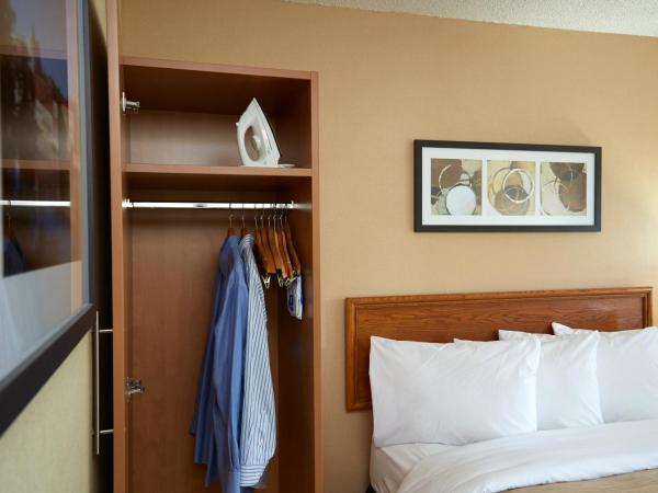 Comfort Inn Airport East : photo 4 de la chambre chambre lit queen-size deluxe avec canapé-lit - rez-de-chaussée