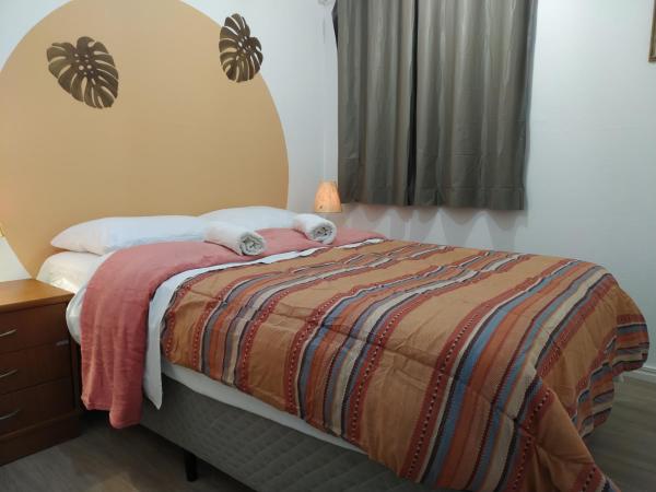 Social Hostel Café e Bar : photo 2 de la chambre chambre double avec toilettes communes