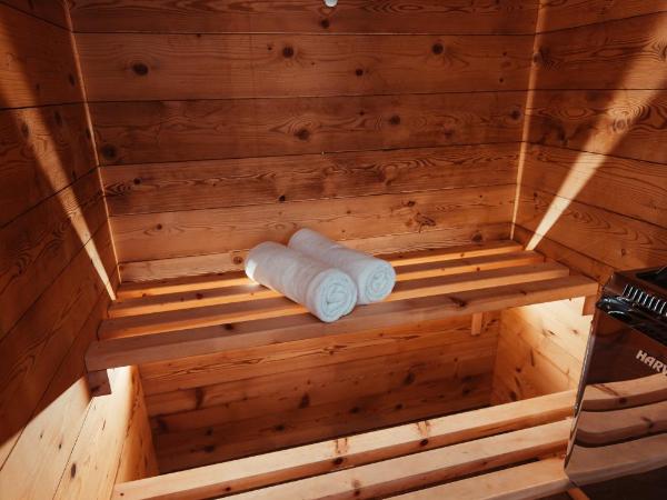 Maison Bionaz Ski & Sport : photo 6 de la chambre suite avec jacuzzi et sauna