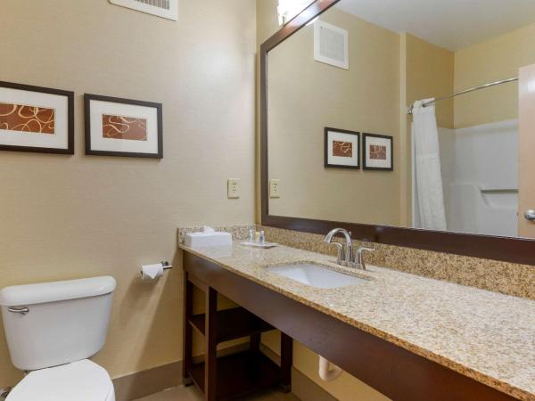 Comfort Suites : photo 2 de la chambre suite lit king-size avec canapé-lit - non-fumeurs