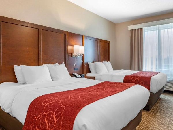 Comfort Suites Columbus Airport : photo 2 de la chambre chambre 2 lits queen-size - non-fumeurs