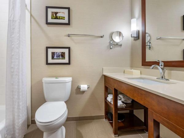 Comfort Suites Columbus Airport : photo 5 de la chambre chambre 2 lits queen-size - non-fumeurs