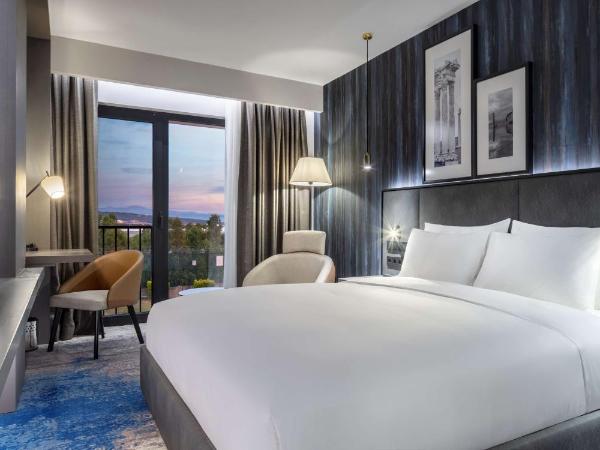 Radisson Hotel Izmir Aliaga : photo 6 de la chambre chambre standard