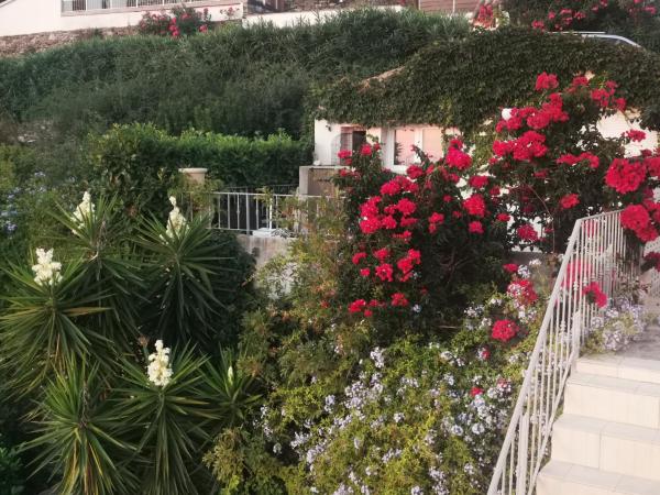 Villa Patrizia : photo 7 de la chambre appartement 1 chambre (4 adultes)