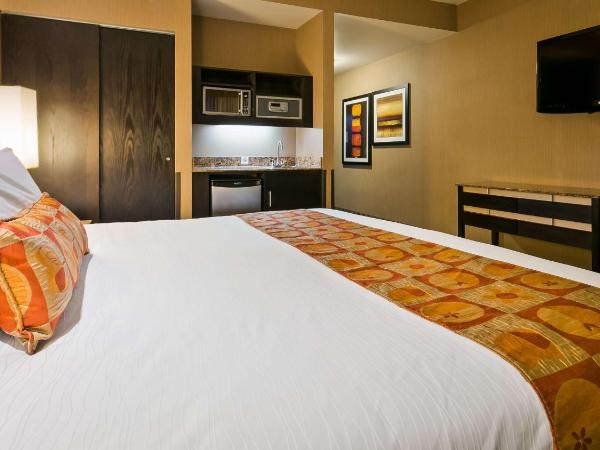 Best Western Premier Freeport Inn Calgary Airport : photo 2 de la chambre chambre lit king-size avec douche accessible en fauteuil roulant - adaptée aux personnes à mobilité réduite