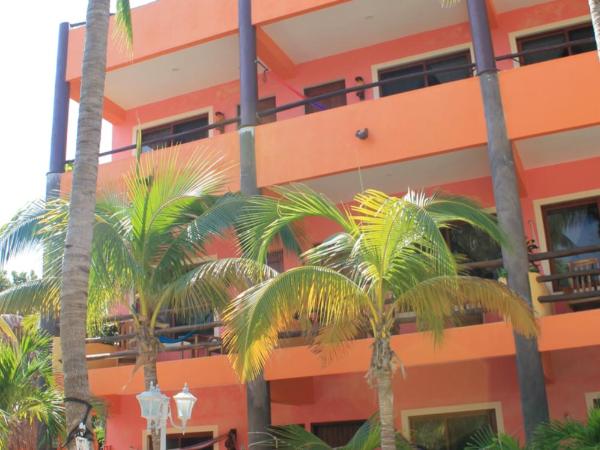 Hotel Villa Kiin : photo 1 de la chambre hébergement standard maya