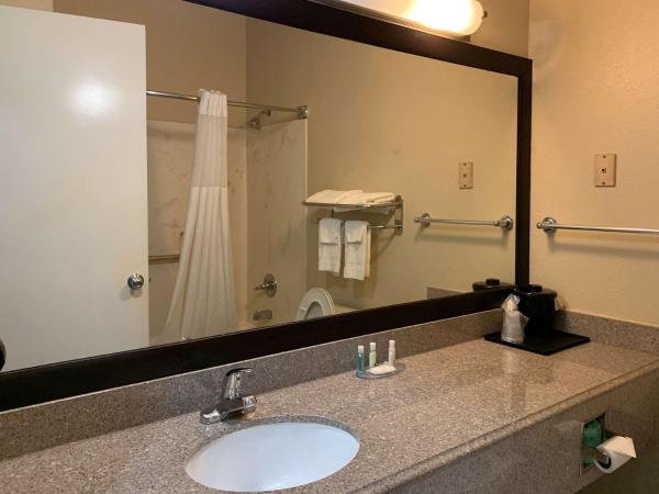 Quality Suites Houston NW Cy-Fair : photo 7 de la chambre suite lit king-size