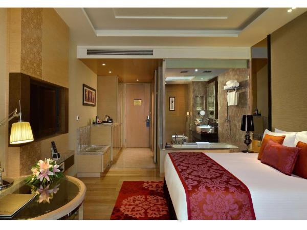Radisson Blu Jaipur : photo 1 de la chambre superior double or twin- non smoking room