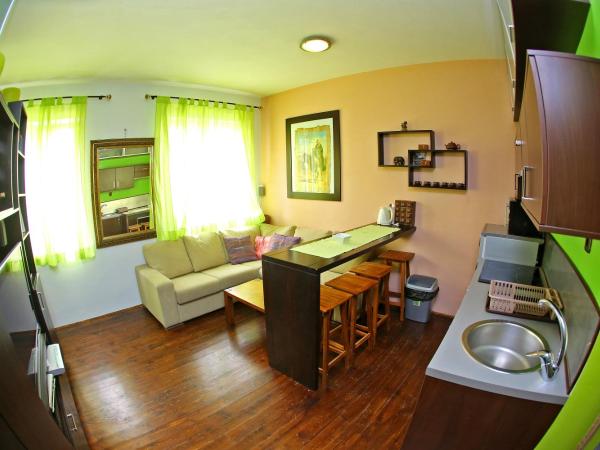 Central Apartments Integrated Hotel : photo 3 de la chambre appartement 1 chambre - 12 knezova Šubića bribirskih