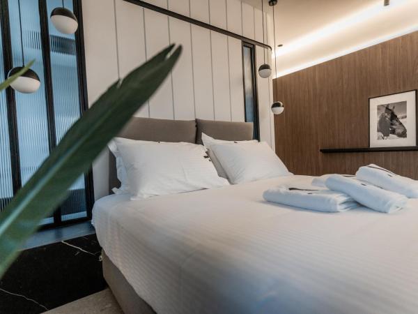 Athinaion Recreation Suites : photo 1 de la chambre suite exécutive