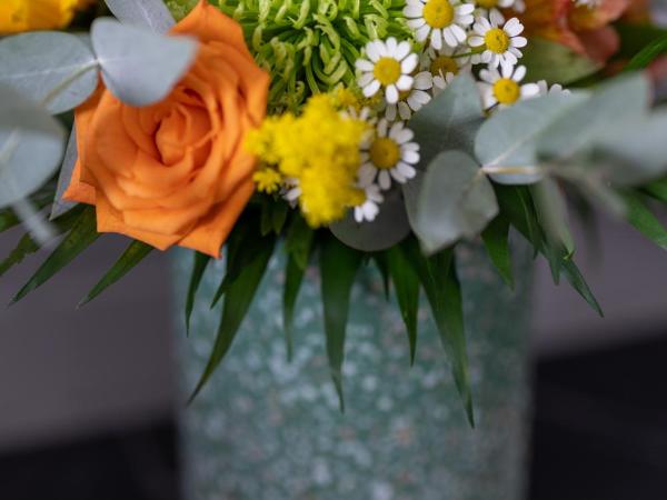 Athinaion Recreation Suites : photo 5 de la chambre studio supérieur