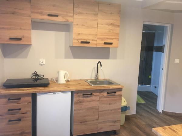 Zielony Domek : photo 9 de la chambre appartement